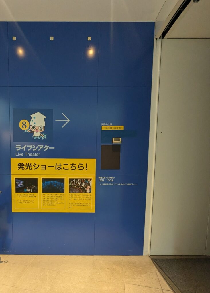 ほたるいかミュージアム6