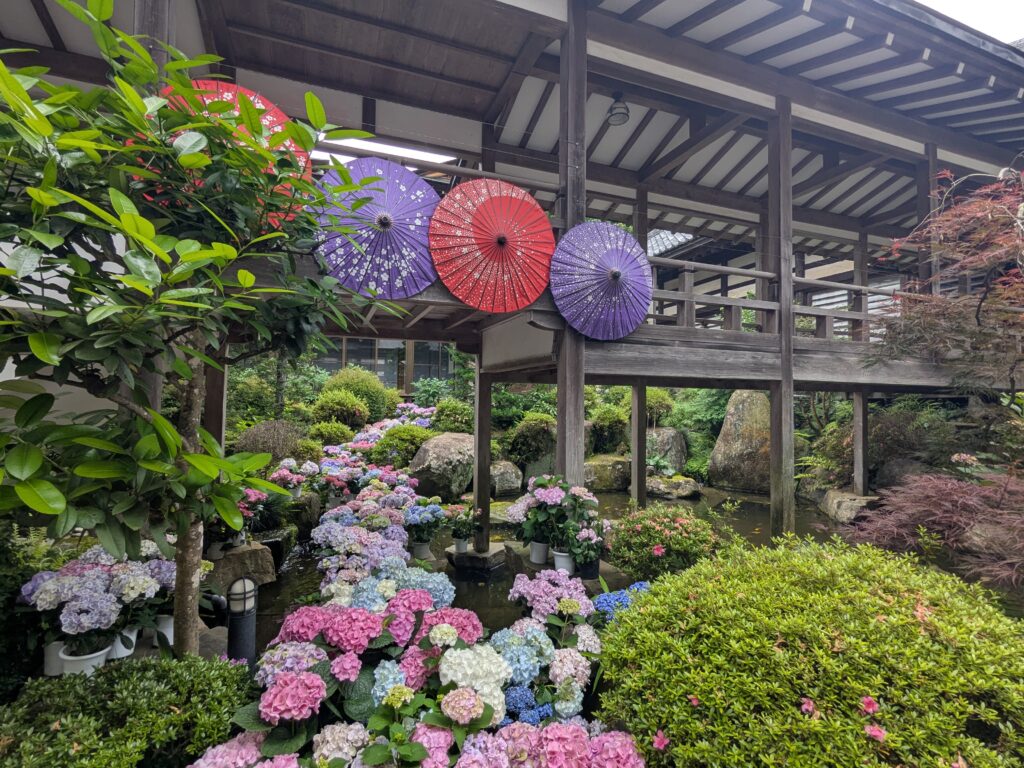 雨引観音あじさい2